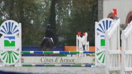 oasis de bernister, poney 3, lamballe 12 / 10 / 2014