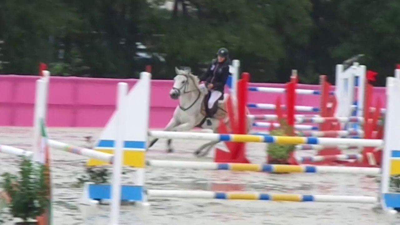 riella de vuzit, poney elite D, lamballe 12 / 10 / 2014