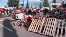 Les chiens sauveteurs des pompiers de l'Oise font leur show