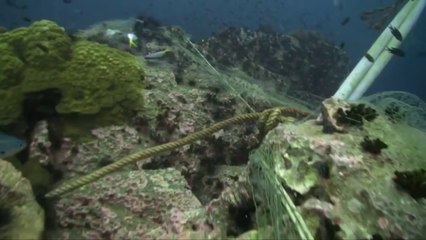 MASSIVE fishing net at Chumphon Pinnacle