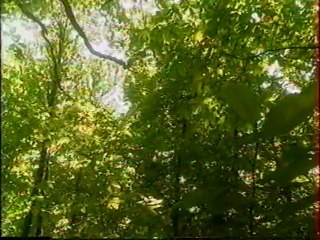 Georges Bataille - A Perte De Vue (Documentaire)