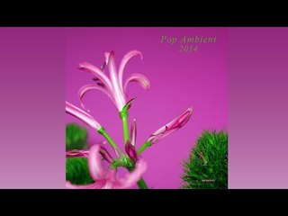 Ulf Lohmann - Sicht 'Pop Ambient 2014' Album