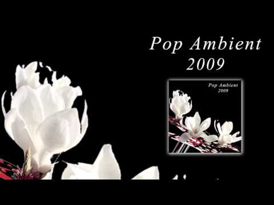 Andrew Thomas - A Dream of a Spider 'Pop Ambient 2009' Album