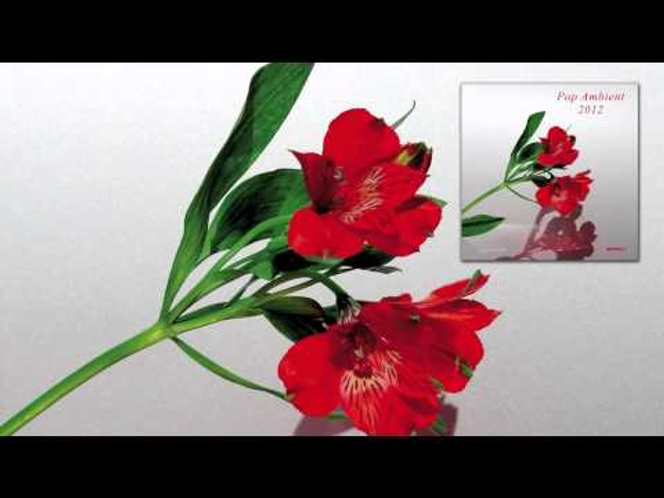 Wolfgang Voigt - Rückverzauberung 5 'Pop Ambient 2012' Album