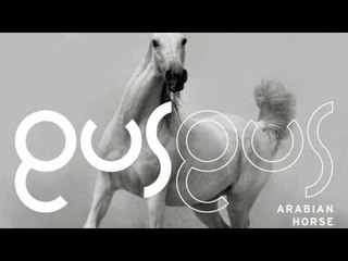 GusGus - Selfoss 'Arabian Horse' Album