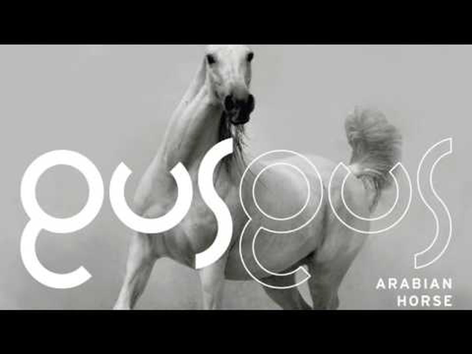 GusGus - Magnified Love 'Arabian Horse' Album