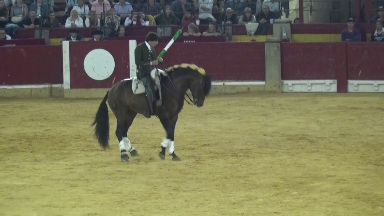 DIEGO VENTURA A SARAGOSSE LE 13 OCTOBRE 2014