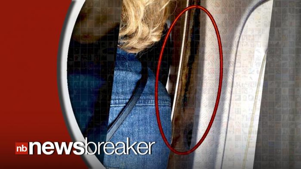 American Airlines Flight Makes Emergency Landing After Cabin Walls Come Apart Mid Flight