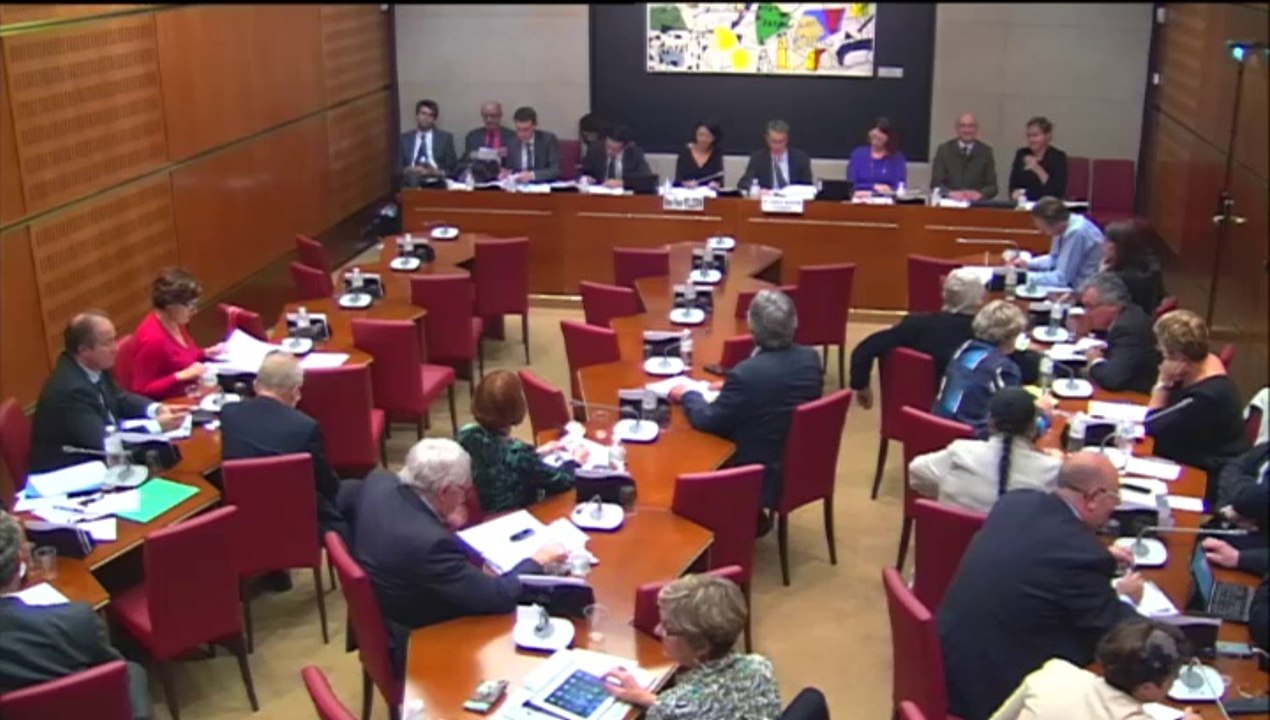 Intervention de Franck Riester en commission des Affaires culturelles le 14 octobre 2014