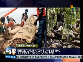 Ébola podría afectar la producción del chocolate a nivel mundial