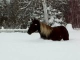 L'après tempête de neige