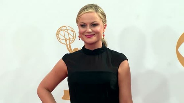 Amy Poehler Breaks Her Silence On Her Divorce From Will Arnett
