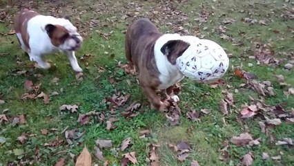 les gros en slow motion