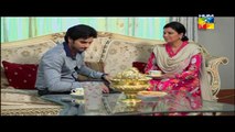 Ager Tum Na Hotay Episode 43 Full on Hum Tv 14th October 2014