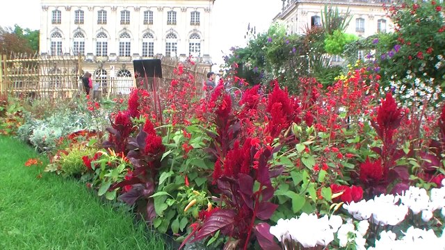 Jardin éphémère 2014 - Place Stanislas à Nancy 54
