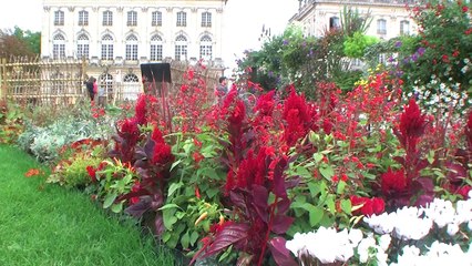 Jardin éphémère 2014 - Place Stanislas à Nancy 54