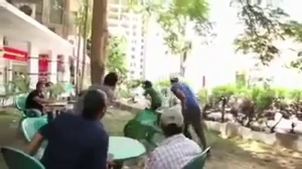 Trolling People Like A Boss