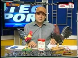Programa-TECNODEPORTES-Martes-7-10-2014-coliseo-sto.dgo.este.km.9