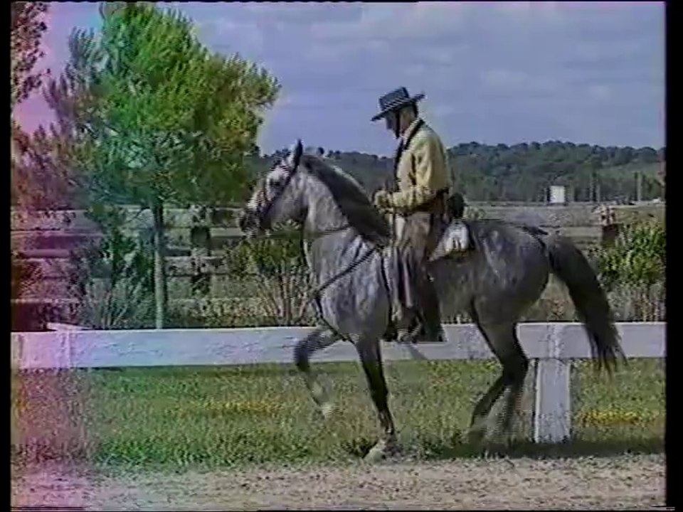 (extrait) Haute Ecole et Tauromachie réalisé par Guy Marconnier