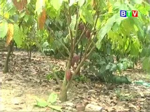 Mô hình nuôi cá, trồng hành đạt hiệu quả - nghenong.com