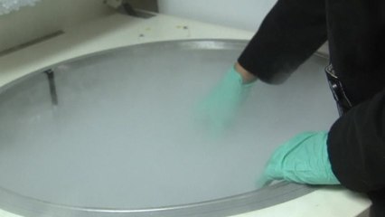 Ebola researcher looks to the internet for funding