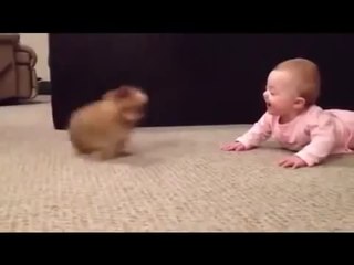 勝康子のネット配信★癒される赤ちゃんワンコ映像３０