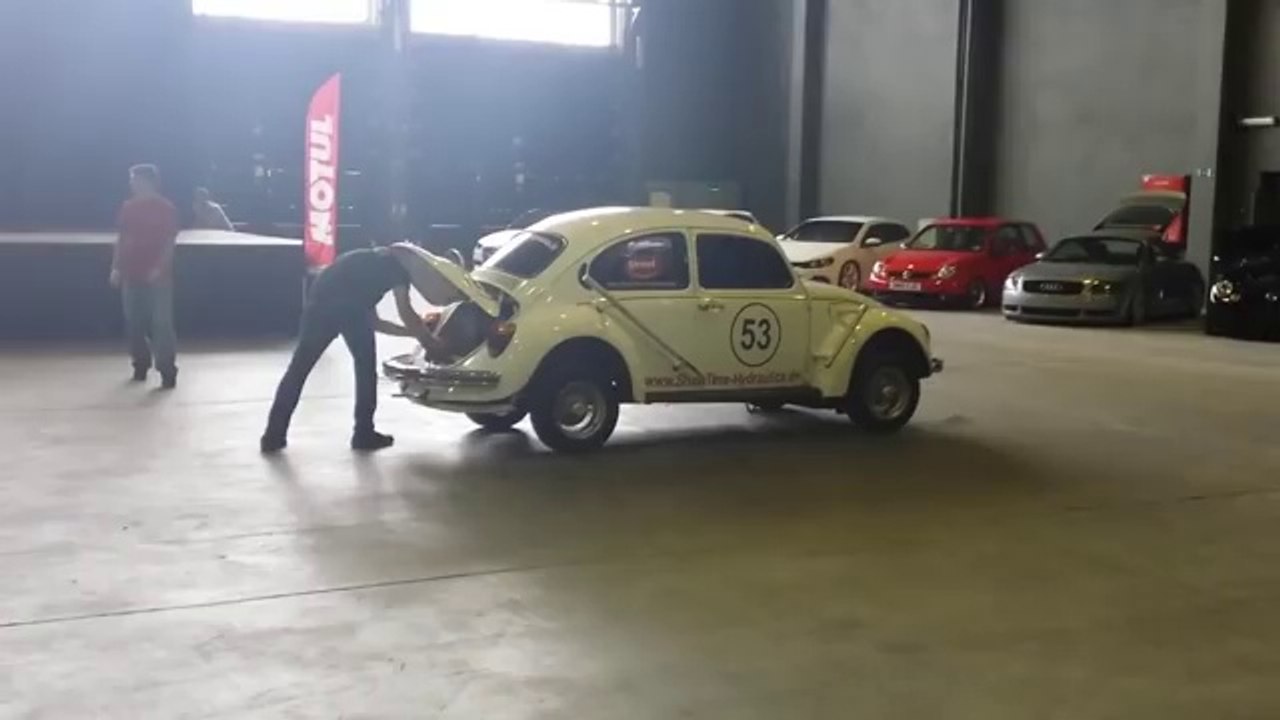 Dans Eden Herbie