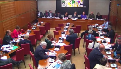 Audition de Mme Fleur Pellerin, ministre de la culture et de la communication - Mardi 14 Octobre 2014