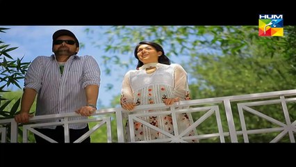 Mohabbat Subh Ka Sitaara Hai OST