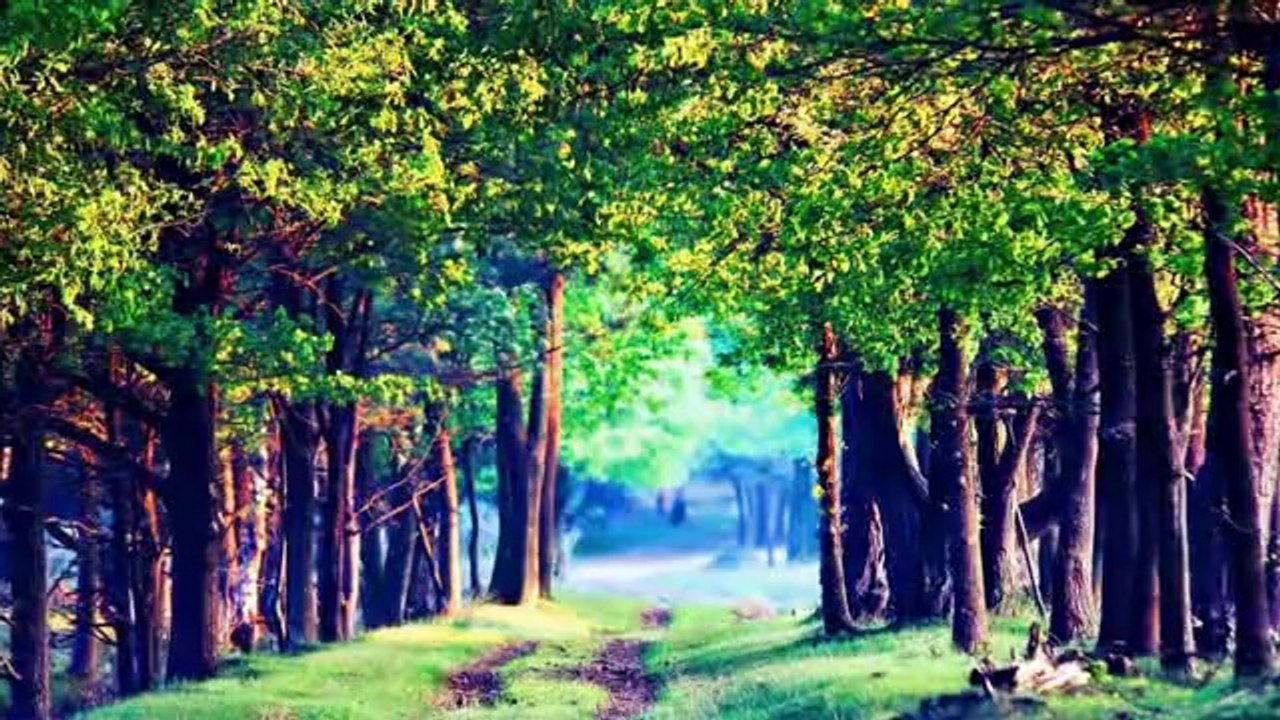 Hüseyin Turan - Şu Karşıki Dağda