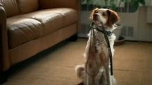Funny commercial
