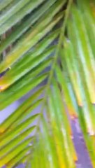 Concrete Cleaning in Gold Coast