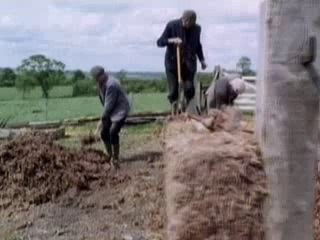 What is happening 16