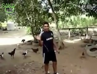 Tavukları Hizaya Getiren Adam