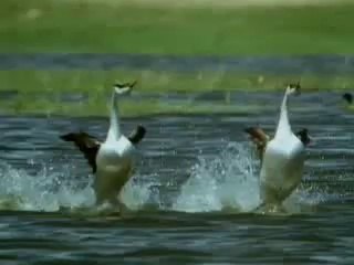 What's Happening on TunerPK? 🤔