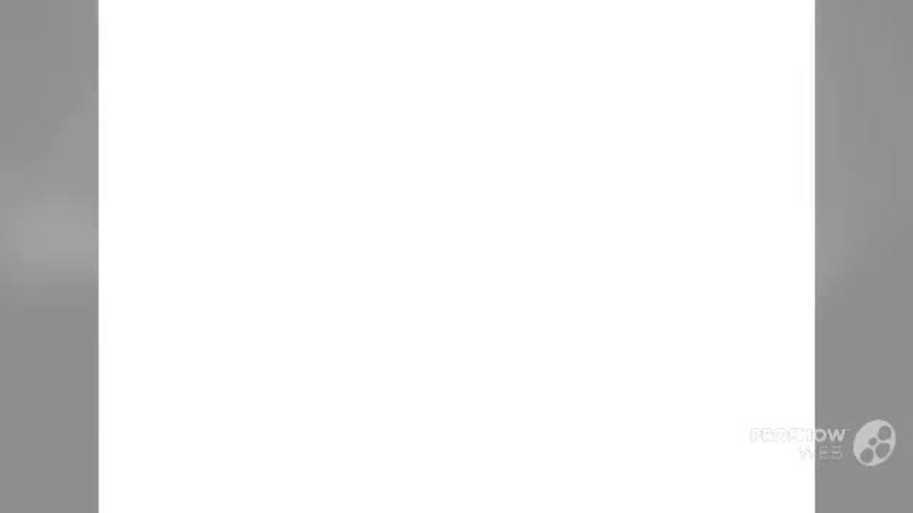 Fan Grill Guard - GardTecOnline