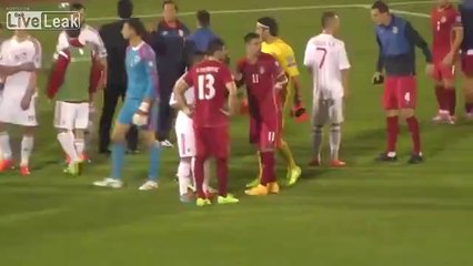 Dunya News - Serbia-Albania match abandoned following drone stunt, brawl