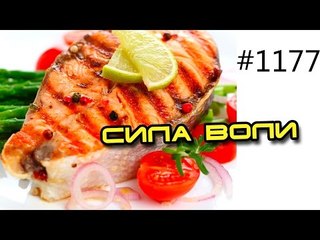 Сила Воли Шоу – Отказ от вкусной еды на полном голоде! Эпизод 1