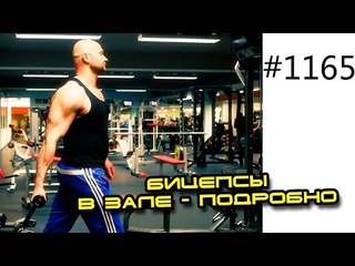 Как накачать бицепс в тренажерном зале Спасечатам