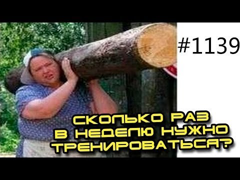 Фитнес. Сколько раз в неделю нужно тренироваться