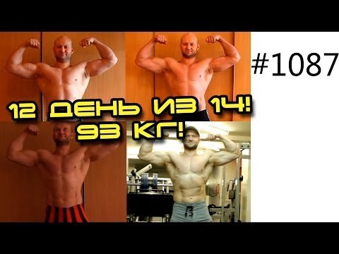 День 12. Шоу 14 кг за 14 дней! Жир в топку! Вес - 93 кг! Тренируем дельты в Киеве