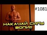 День 9. Мотивация к голоданию, сушке тела от бывалого сухаря. Накачай силу воли!! 14 кг за 14 дней