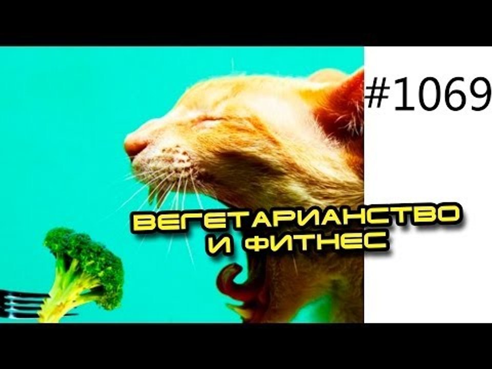 Вегетарианство и фитнес. Может ли вегетарианец быть здоровым бодибилдером как Алексей Воевода?