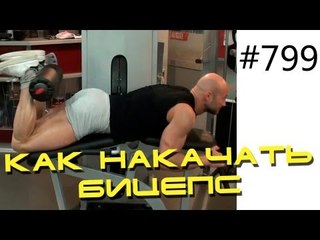 Бицепс бедра. Упражнение для красивых бедер. Сгибания ног лежа на животе в тренажере,