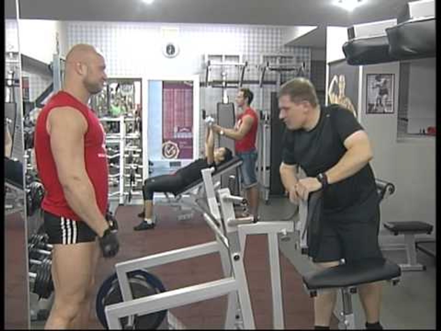 464. Тренировки в домашних условиях или в зале? Спорт