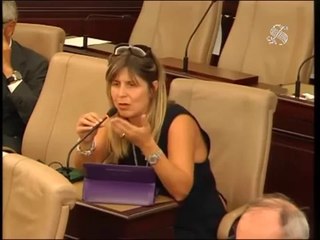 Roma - Audizione capitano De Falco e ammiraglio Angrisano (08.10.14)