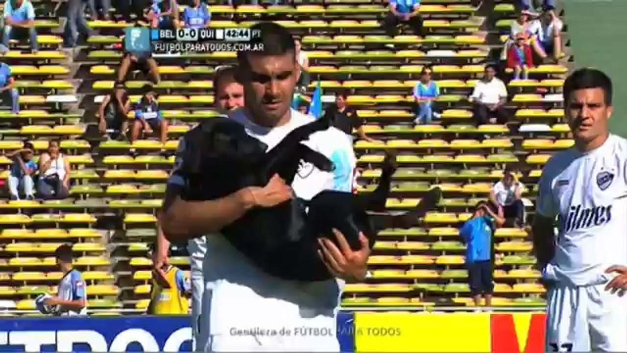 So cute dog ran onto a soccer field to have a belly rub!