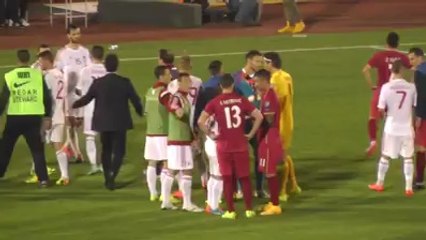 Perleshja ne stadium (serbia vs Albania)