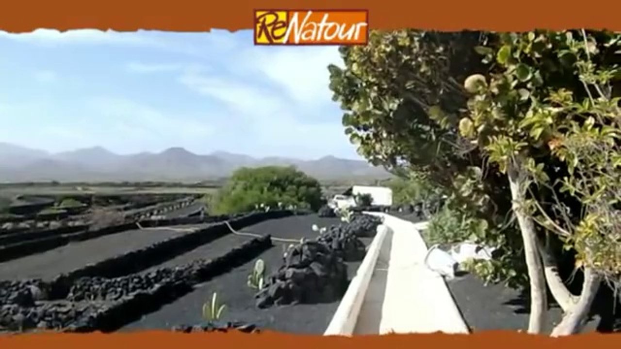 Familienurlaub Kanaren_ _Lebenskräfte stärken auf Lanzarote_ Urlaub auf der Finca_ - ReNatour
