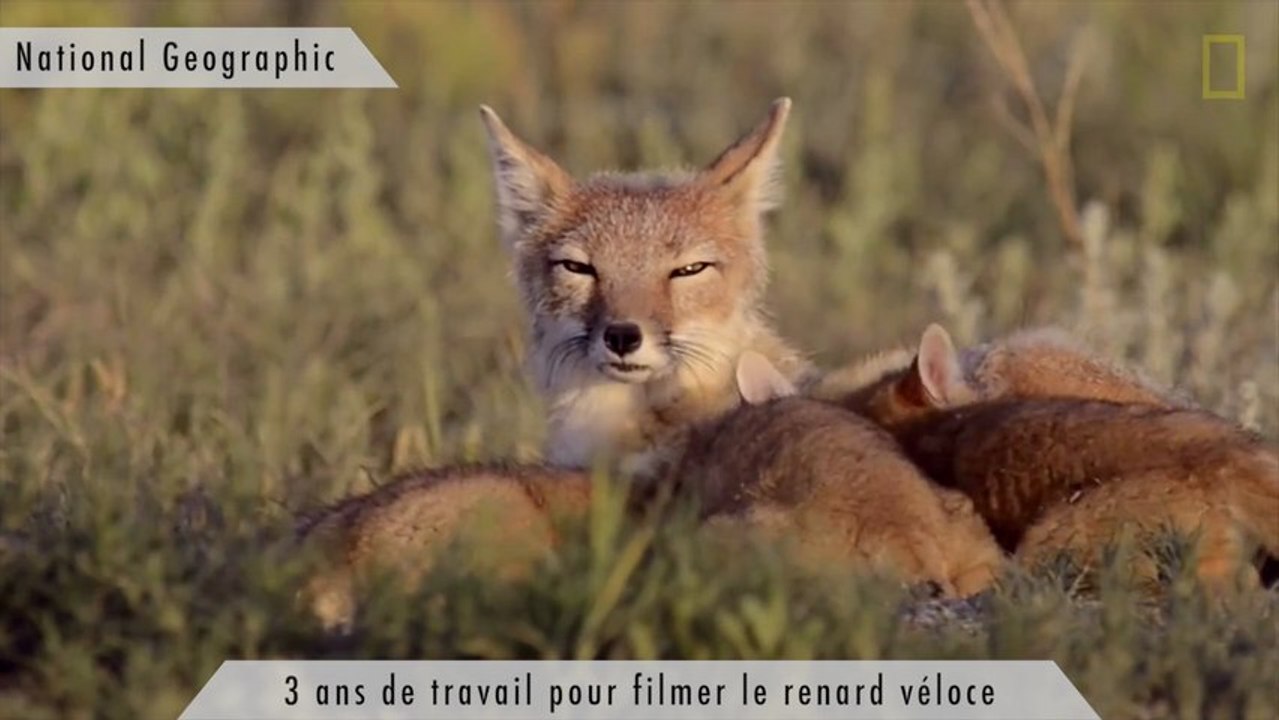 Zapping : rollers électriques, éclipse de Lune et smartphone voiture de course